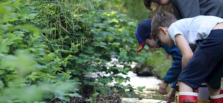 Wie echte Gewässerforscher:innen gehen die Schüler:innen mit Keschern und Wannen den Bewohnern der Dürren Liesing auf die Spur. © LPV/F. Hohn Kinder mit Keschern im Bach