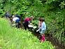 Gemeinsam mit unseren Naturvermittler:innen erforschten die Kinder die faszinierende Vielfalt der Lebewesen im Bach. © LPV/S. Leischner Kinder mit Naturvermittlerin in Dürren Liesing