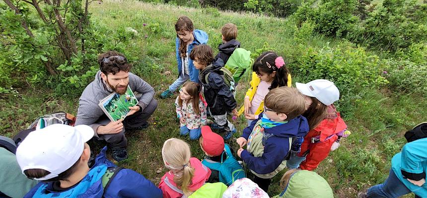 Naturvermittler stellt Hummelragwurz vor