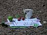 Mittels KIM Spiel (Keep in Mind) sollen die Kinder bei den Naturpark Tagen die vier Säulen des Naturparks kennenlernen. © LPV/F. Hohn Gegenstände zur Säule Regionalentwicklung
