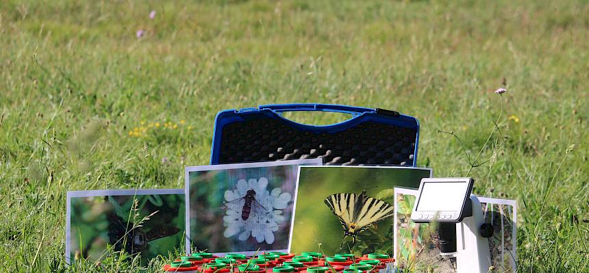 Becherlupenkoffer, Binokular und Tierfolien