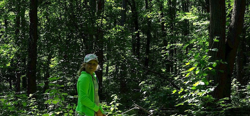 Kind im Wald