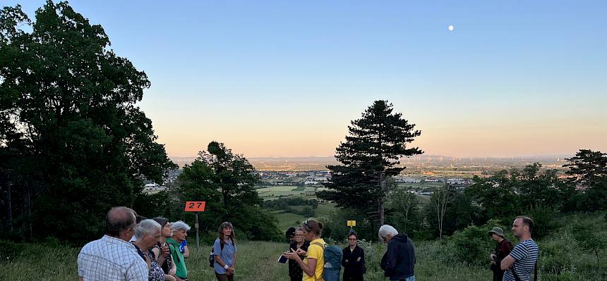 Abendstimmung