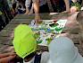 Spielerisch wurden an der Magnettafel die Merkmale von Urwald, naturnahem Wald und intensiv bewirtschaftetem Wald verglichen. © LPV/D. Hasenzagl Kinder um Magnettafel