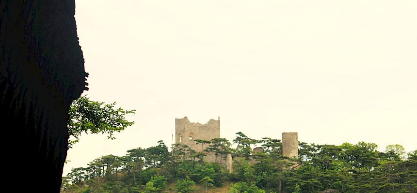 Burgruine Mödling