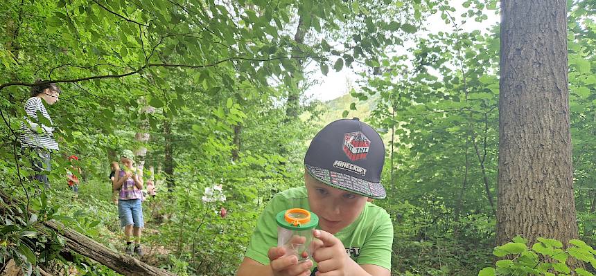 Kinder mit Becherlupe