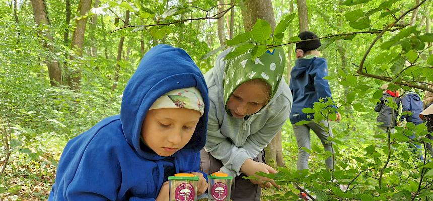 Kinder mit Becherlupen