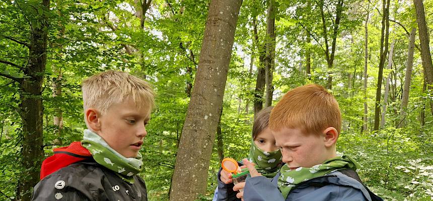 Kinder mit Becherlupen