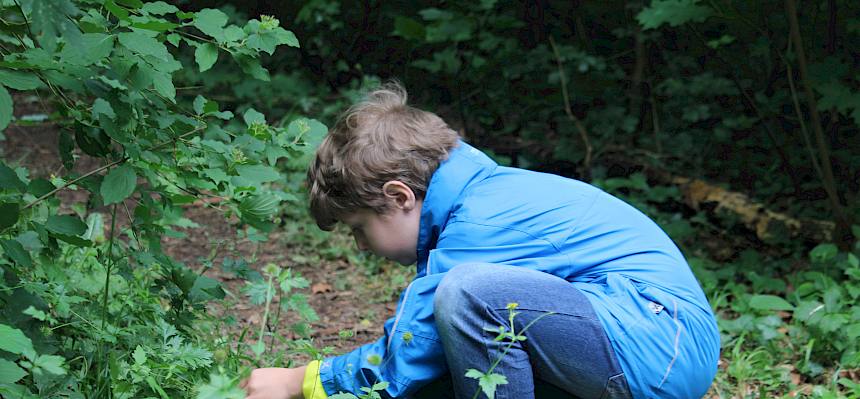Kind mit Becherlupe