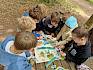 Mithilfe einer Magnettafel wurden die Unterschiede zwischen Urwald, naturnahem Wald und intensiv genutztem Wirtschaftswald gemeinsam erarbeitet. © LPV/V. Pellarin KInder mit Magnettafel