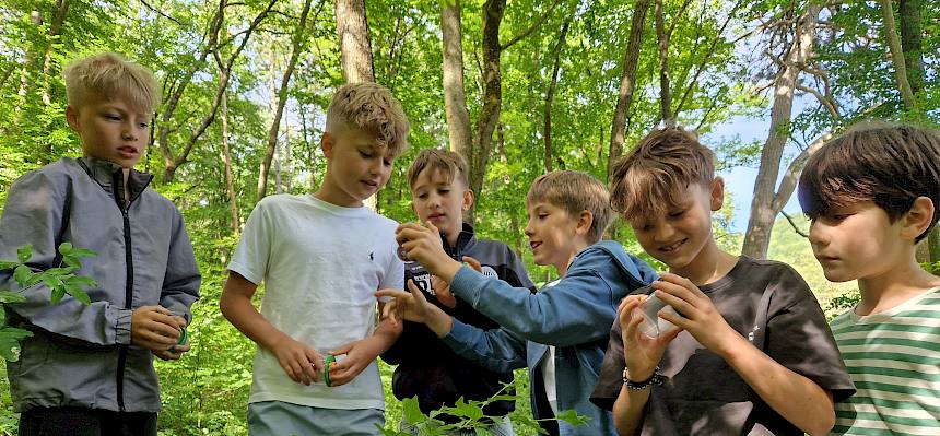 Kinder mit Becherlupe