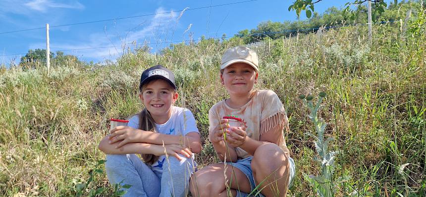 Schülerinnen mit Becherlupen
