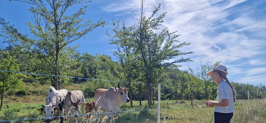 Schülerin vor Weidezaun mit Kühen
