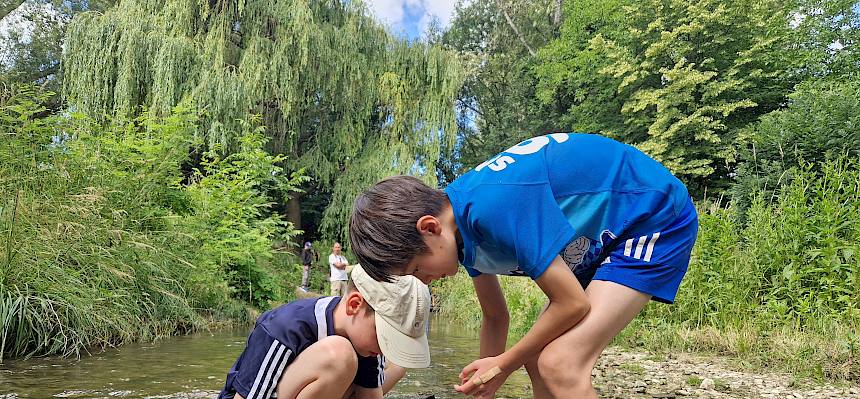 Kinder mit Keschern und Beobachtungswannen