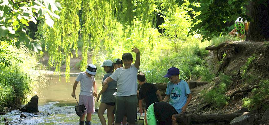 Kinder im Bach