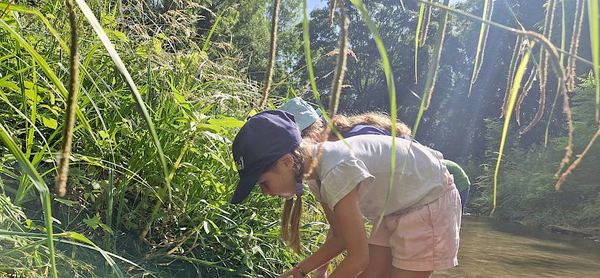 Kinder mit Keschern und Beobachtungswannen