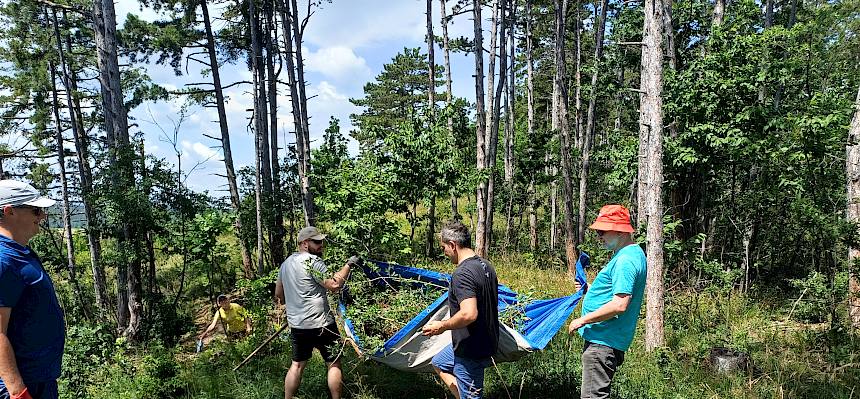 Volunteers tragen Plane
