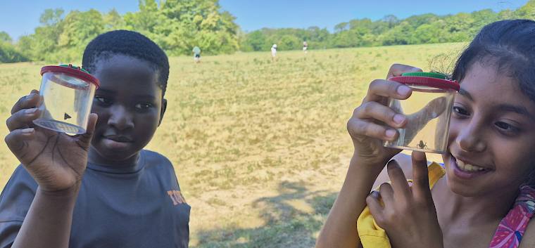 Beim Trockenrasen- & Wiesenprogramm am Bisamberg lernten die Schüler:innen viele Tiere und Pflanzen dieses besonderen Naturgebiets kennen. © LPV/L. Reimoser-Berger Schüler:innen mit Becherlupe