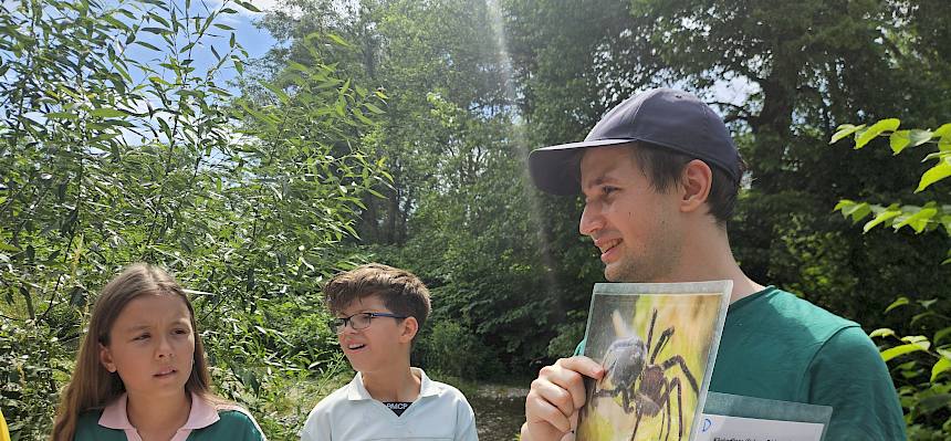 Naturvermittler stellt Wasserspinne vor