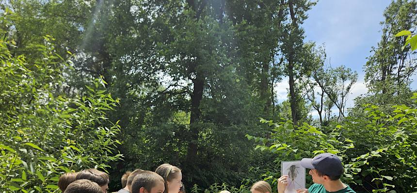 Naturvermittler mit Folie Eintagsfliegenlarve