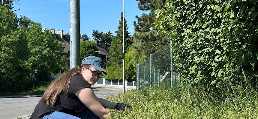 Praktikantin bei Wiesenpflege