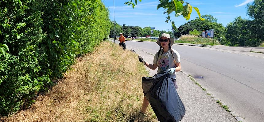Praktikant:innen pflegen Insekten-Highway