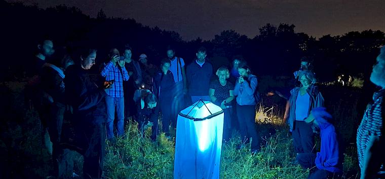 Menschen bei Insekten-Leuchtturm