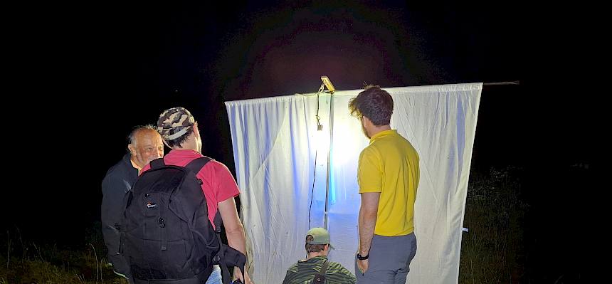 Menschen bei Insekten-Leuchtturm