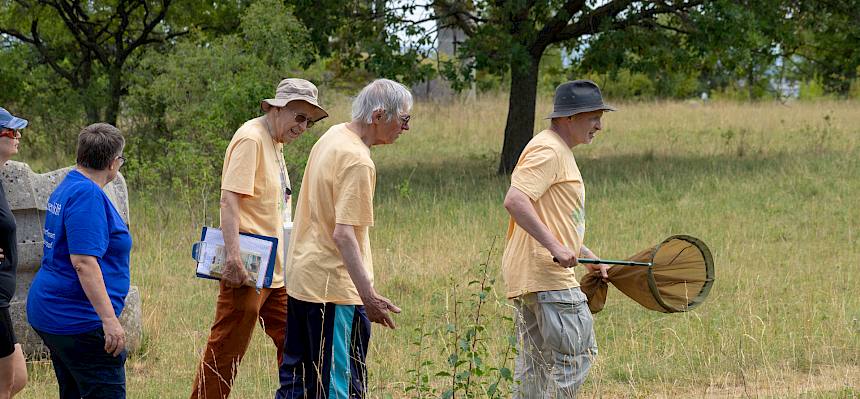 Expert:innen beim Forschen