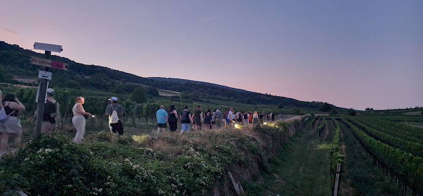 Gruppe wandert durch Weinbaulandschaft zu Trockenrasen