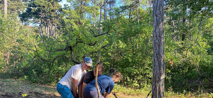 Treepopper im Einsatz