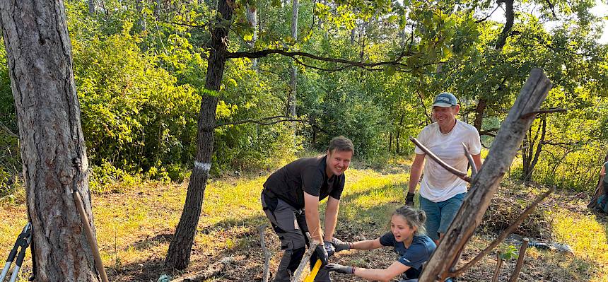 Treepopper im Einsatz