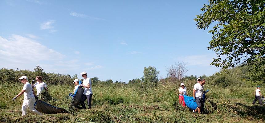 Volunteers bei der Arbeit