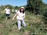 Volunteers rechen Feuchtwiese