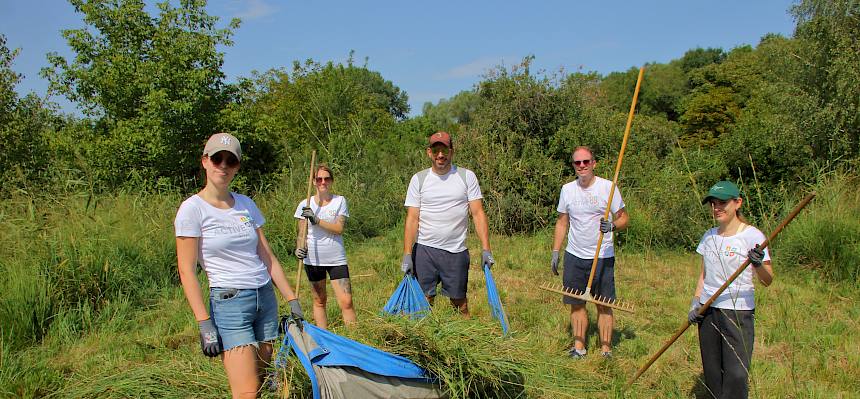 Volunteers tragen Plane