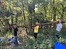 Volunteers tragen Stamm