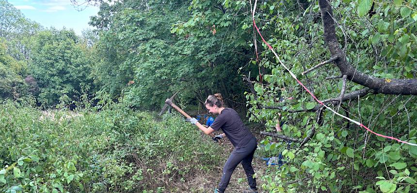 Freiwillige hackt Büsche aus
