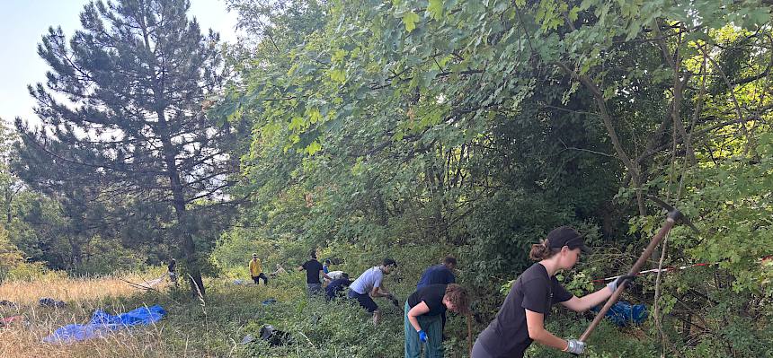 Volunteers hacken Gehölze aus