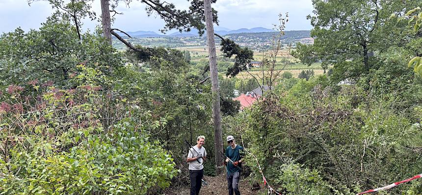 Fertiger Beweidungskorridor