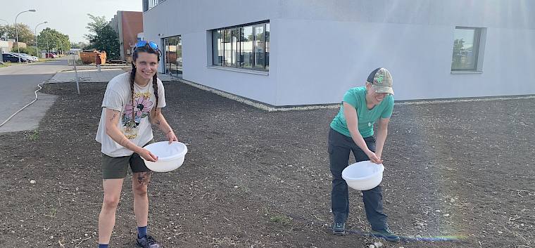 Praktikant:innen säen Fläche mit Wildblumensaatgut ein