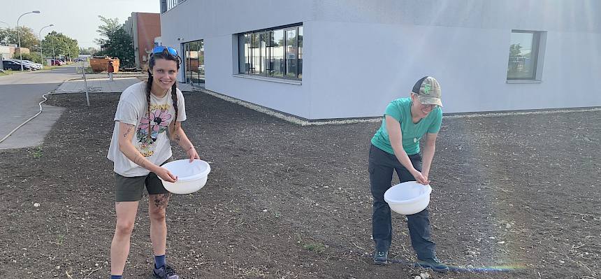 Praktikant:innen säen Fläche mit Wildblumensaatgut ein