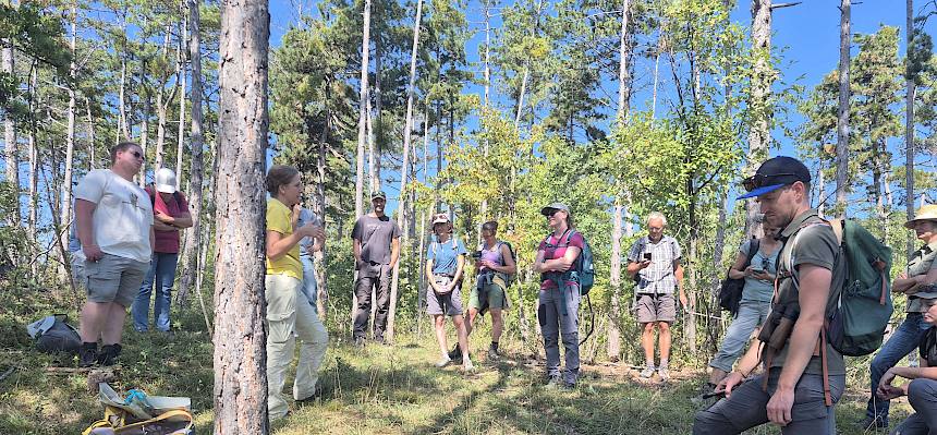 Biologin erzählt über Beweidung