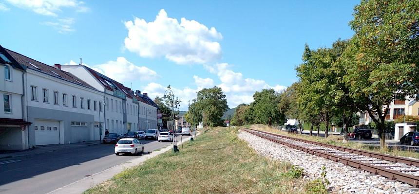 Fläche nach der Pflege