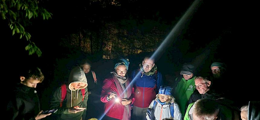 Personen betrachten Nachtfalter