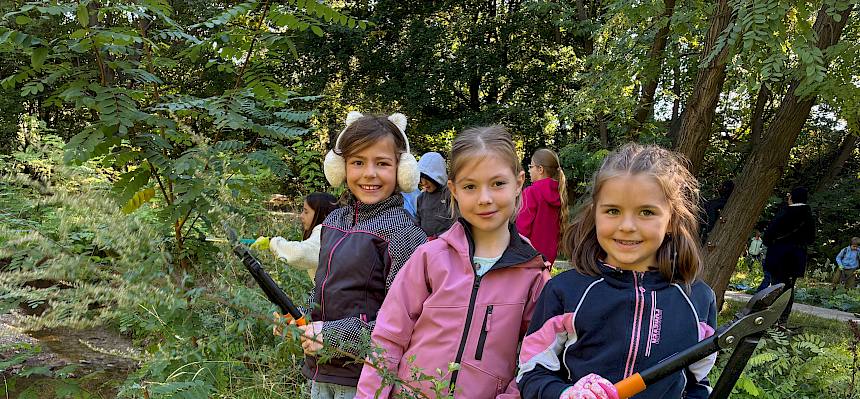 Kinder entfernen Robinien