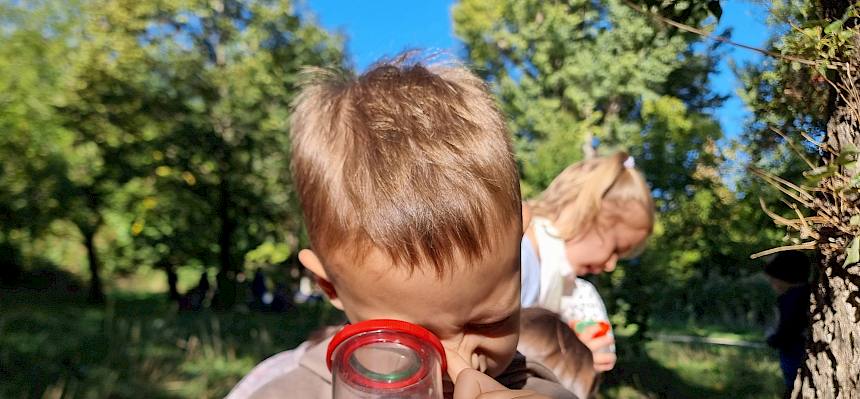 Schüler betrachtet Tier in Becherlupe