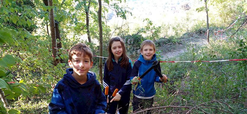 Schüler:innen bei Trockenrasenpflege