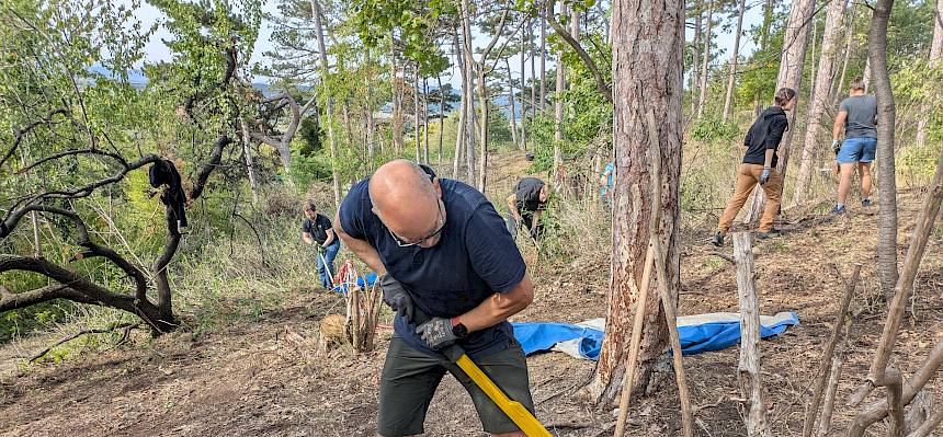 Volunteer mit Treepopper