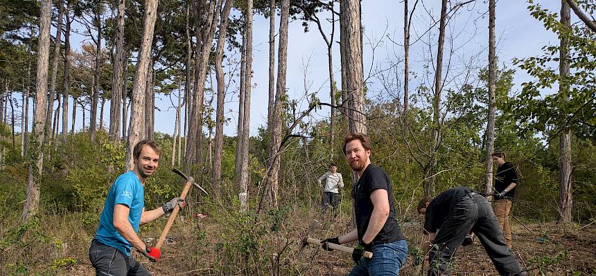 Volunteers bei Trockenrasenpflege