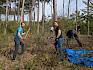Volunteers bei Trockenrasenpflege